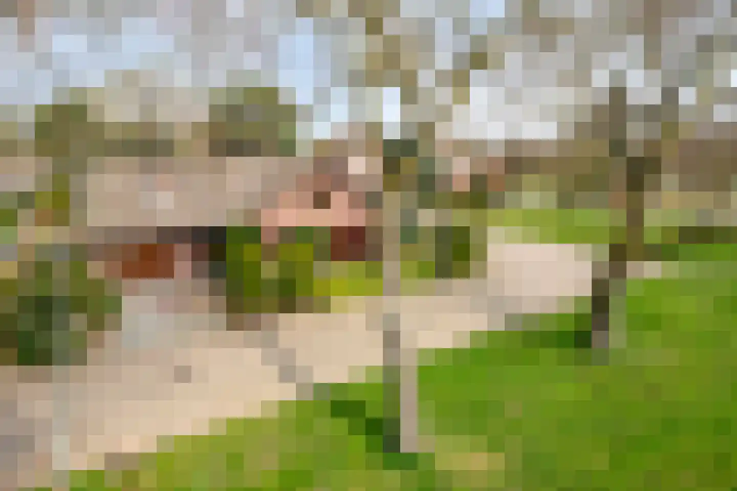 Dross vd Weijdenplein 4 Stein thumbnail 49