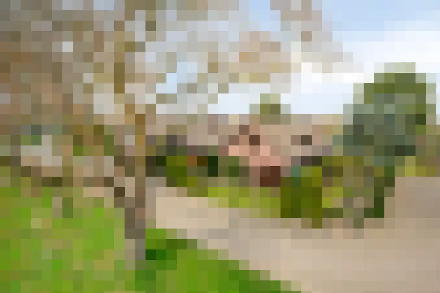 Dross vd Weijdenplein 4 Stein thumbnail 50