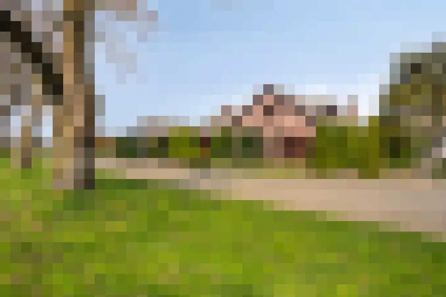 Dross vd Weijdenplein 4 Stein thumbnail 7