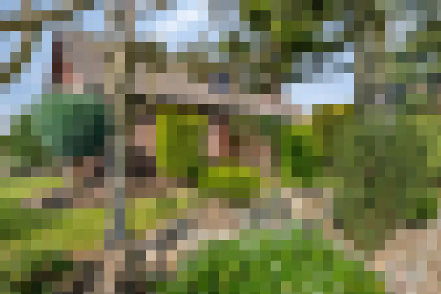 Dross vd Weijdenplein 4 Stein thumbnail 9