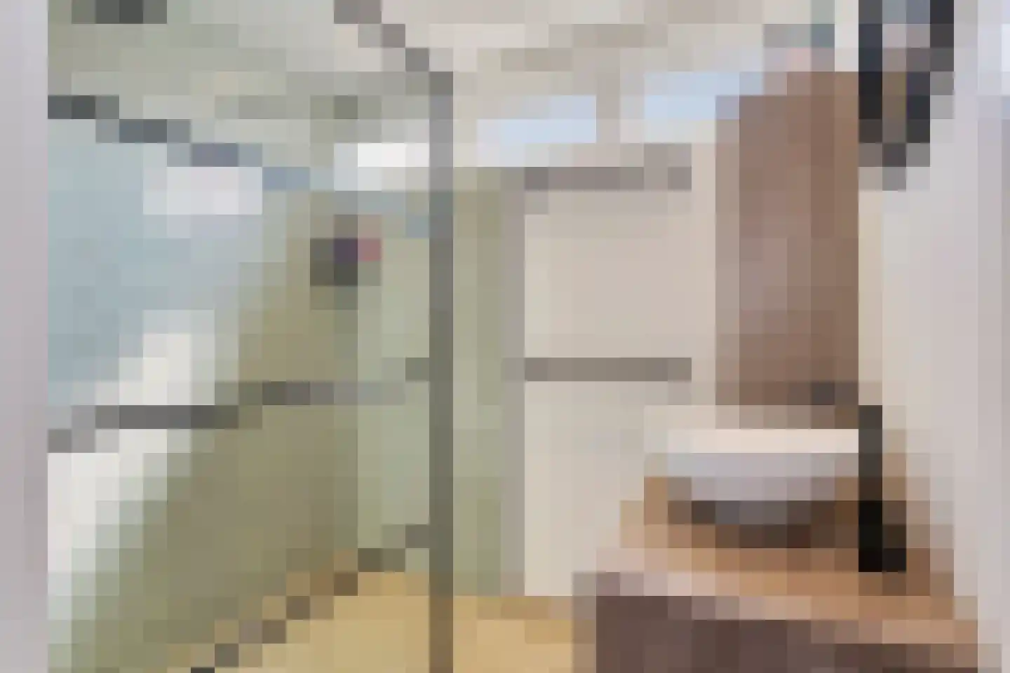 Dross Wilkinstraat 21 Elsloo thumbnail 12