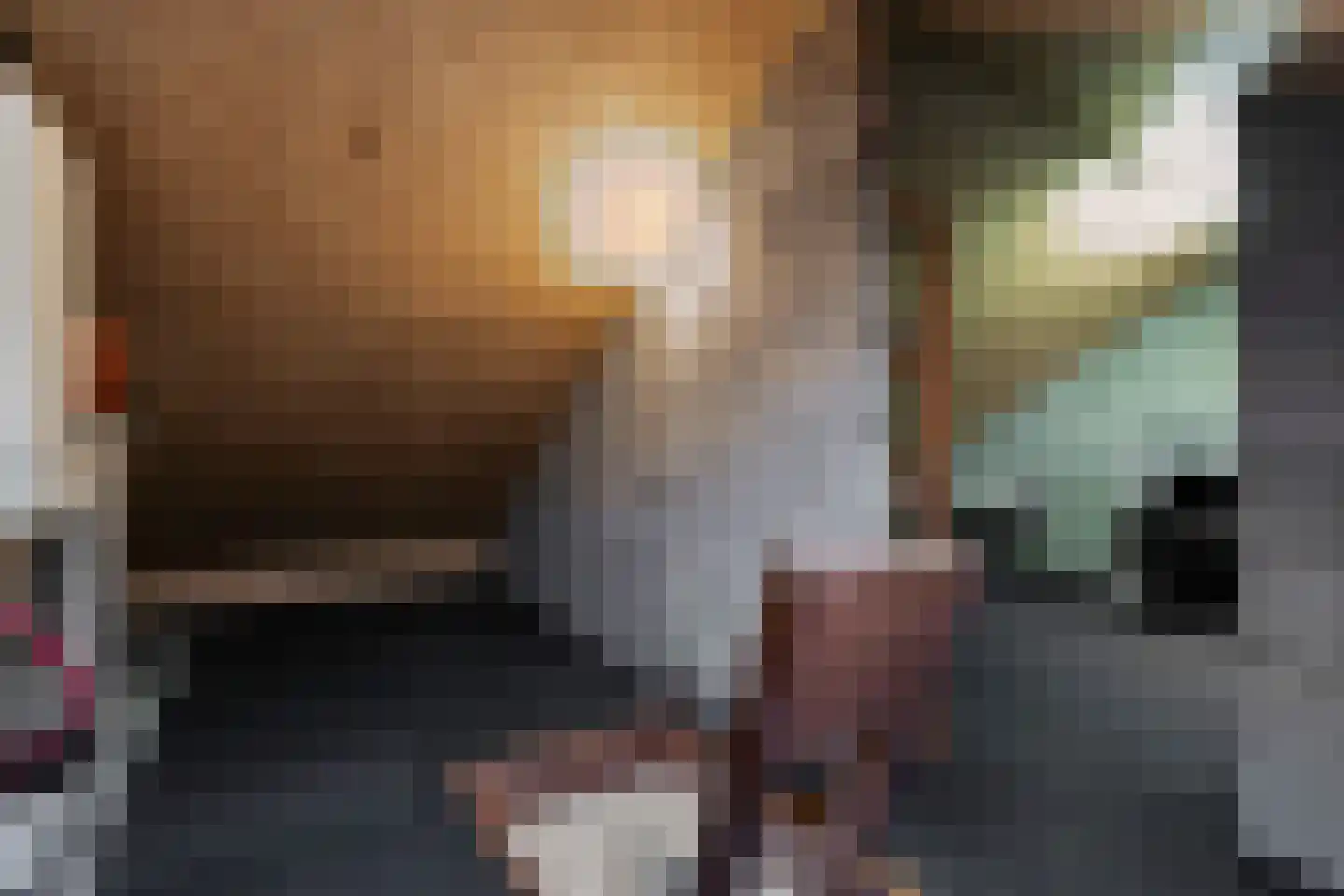 Dross Wilkinstraat 21 Elsloo thumbnail 14