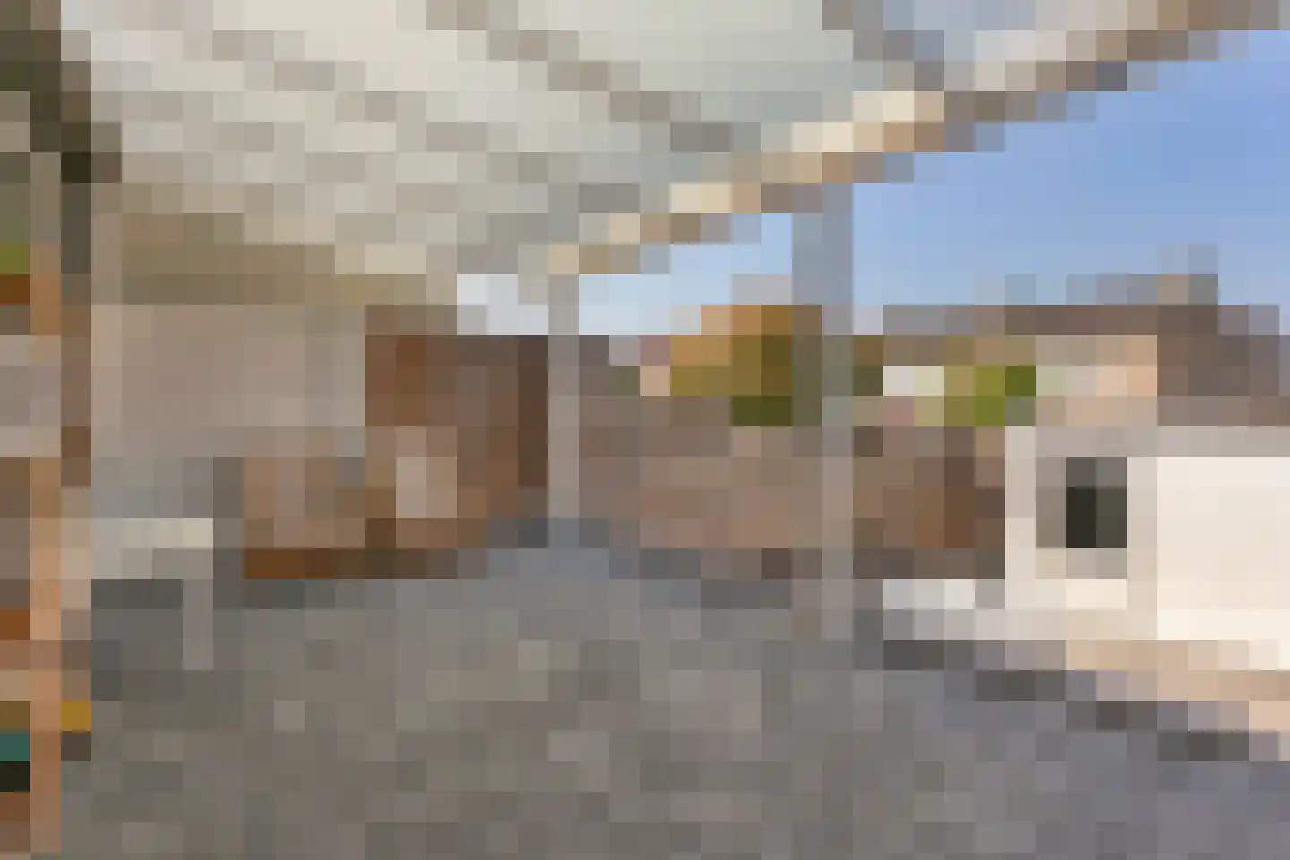 Dross Wilkinstraat 21 Elsloo thumbnail 16