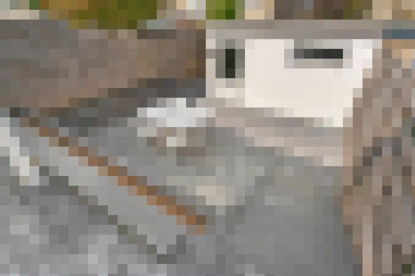 Dross Wilkinstraat 21 Elsloo thumbnail 17