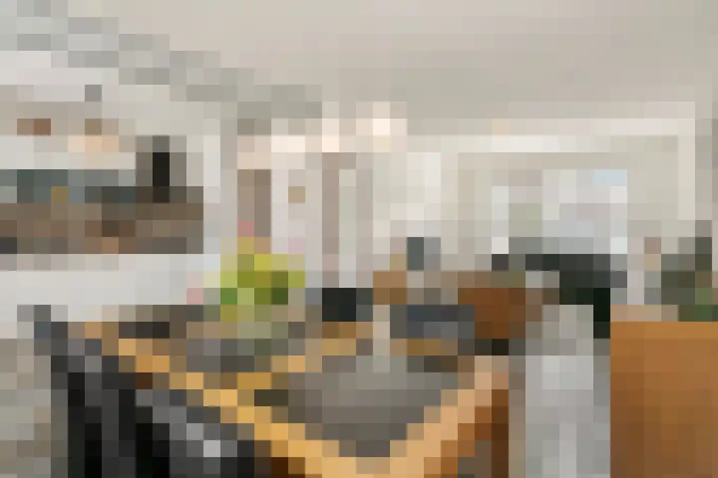 Dross Wilkinstraat 21 Elsloo thumbnail 8
