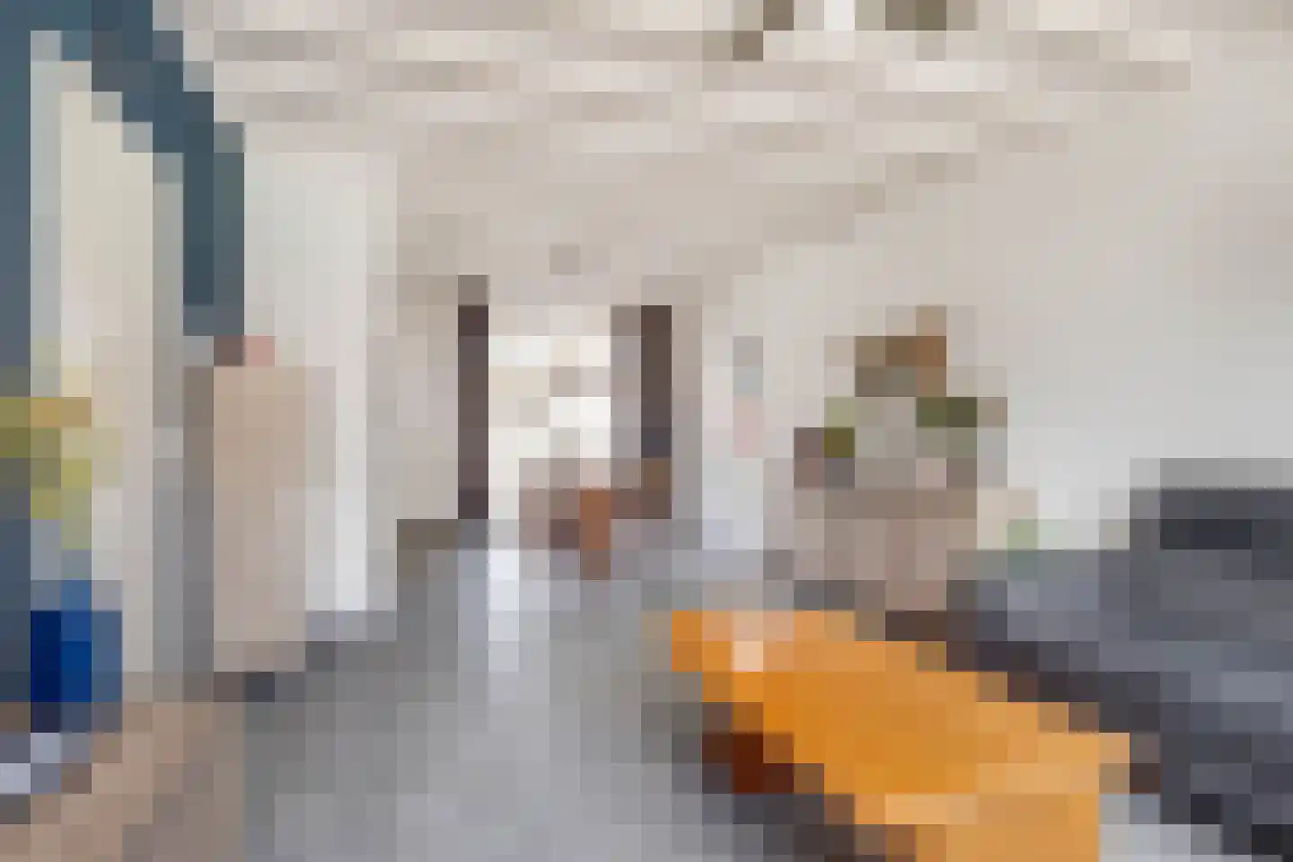 Dross Wilkinstraat 3 Elsloo thumbnail 16