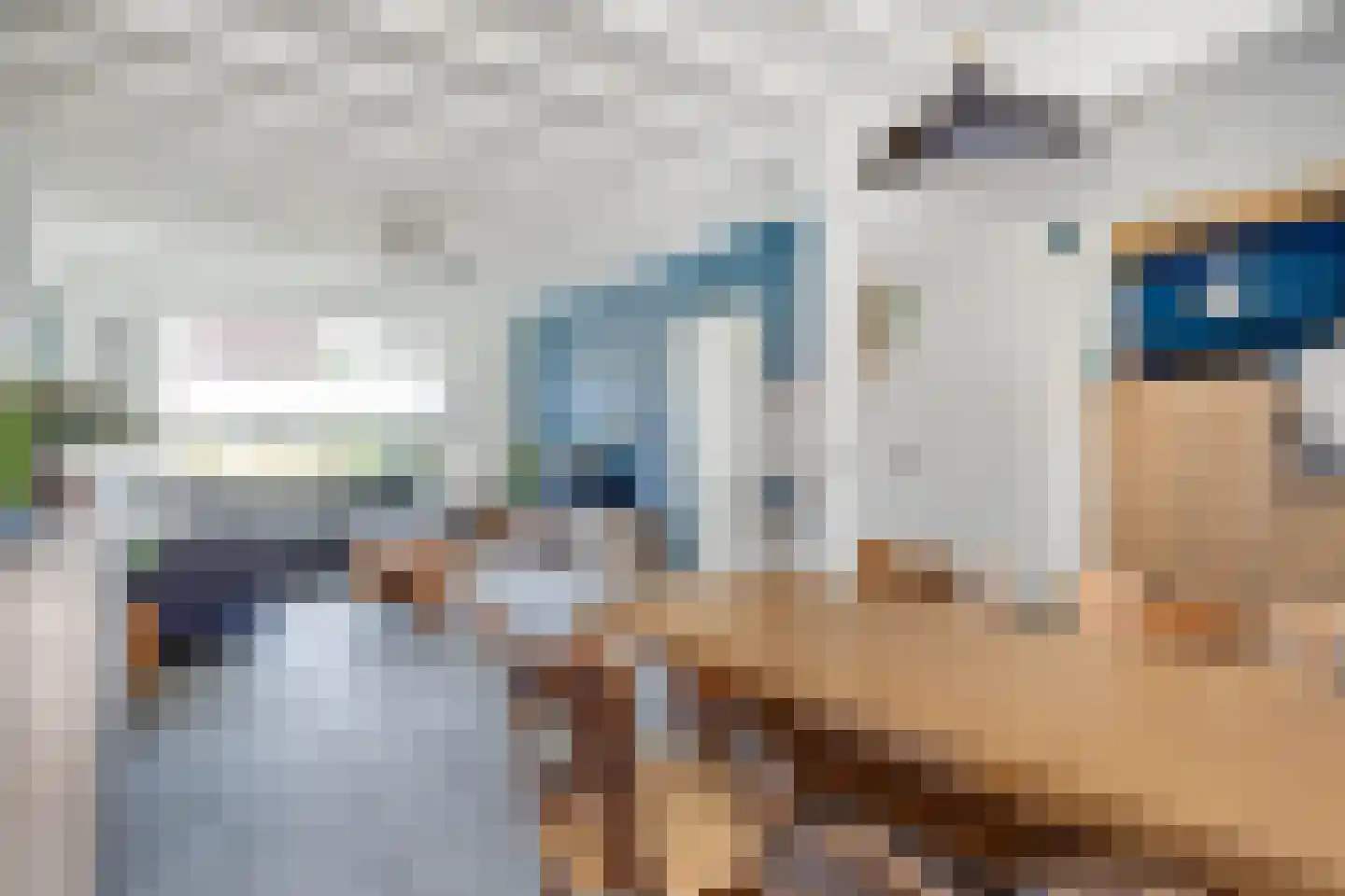 Dross Wilkinstraat 3 Elsloo thumbnail 19