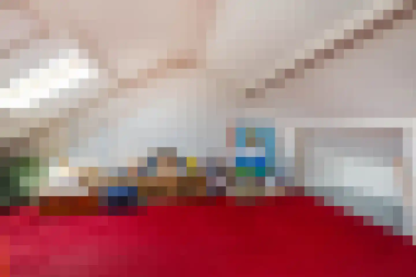 Dross Wilkinstraat 3 Elsloo thumbnail 31