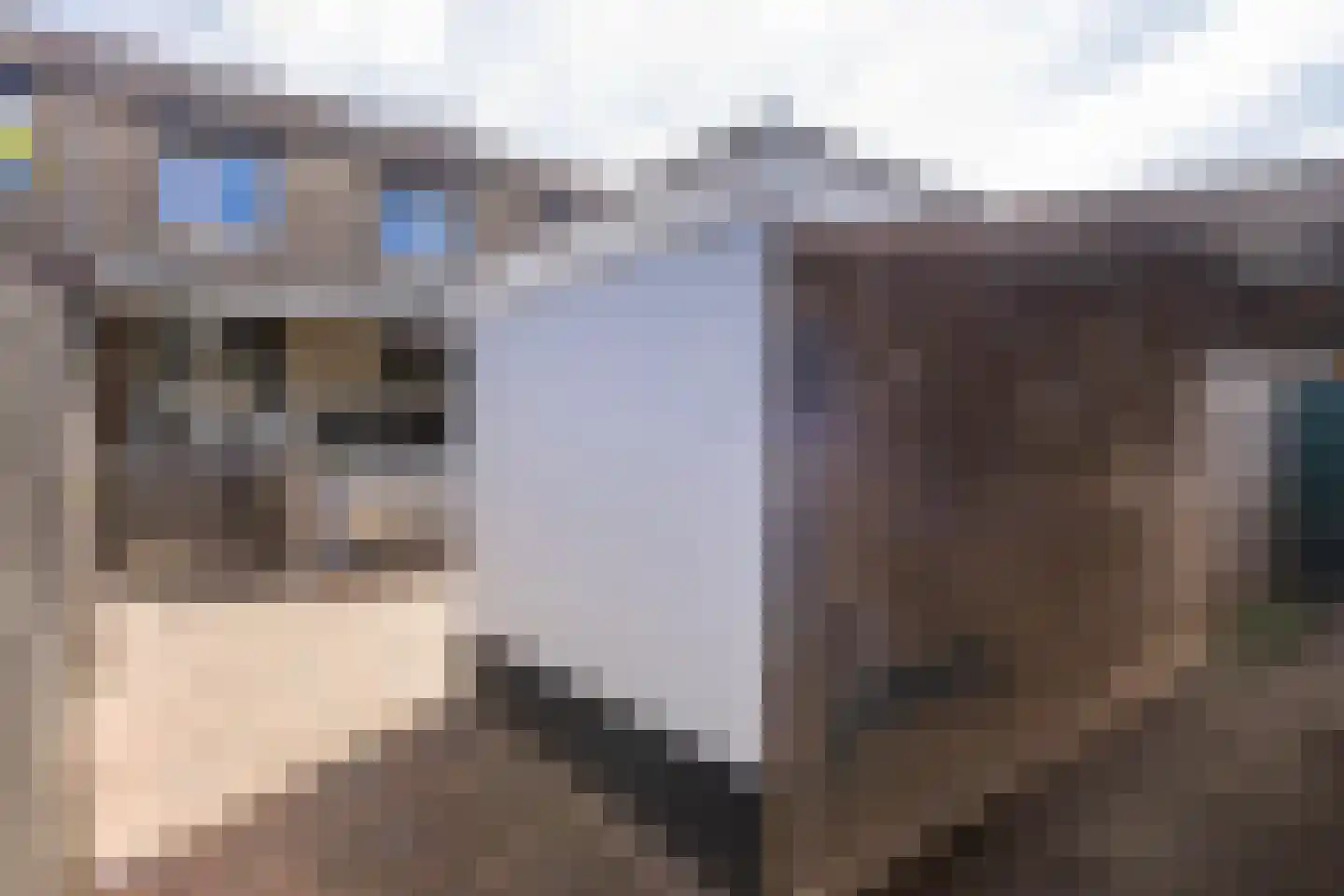 Dross Wilkinstraat 3 Elsloo thumbnail 42