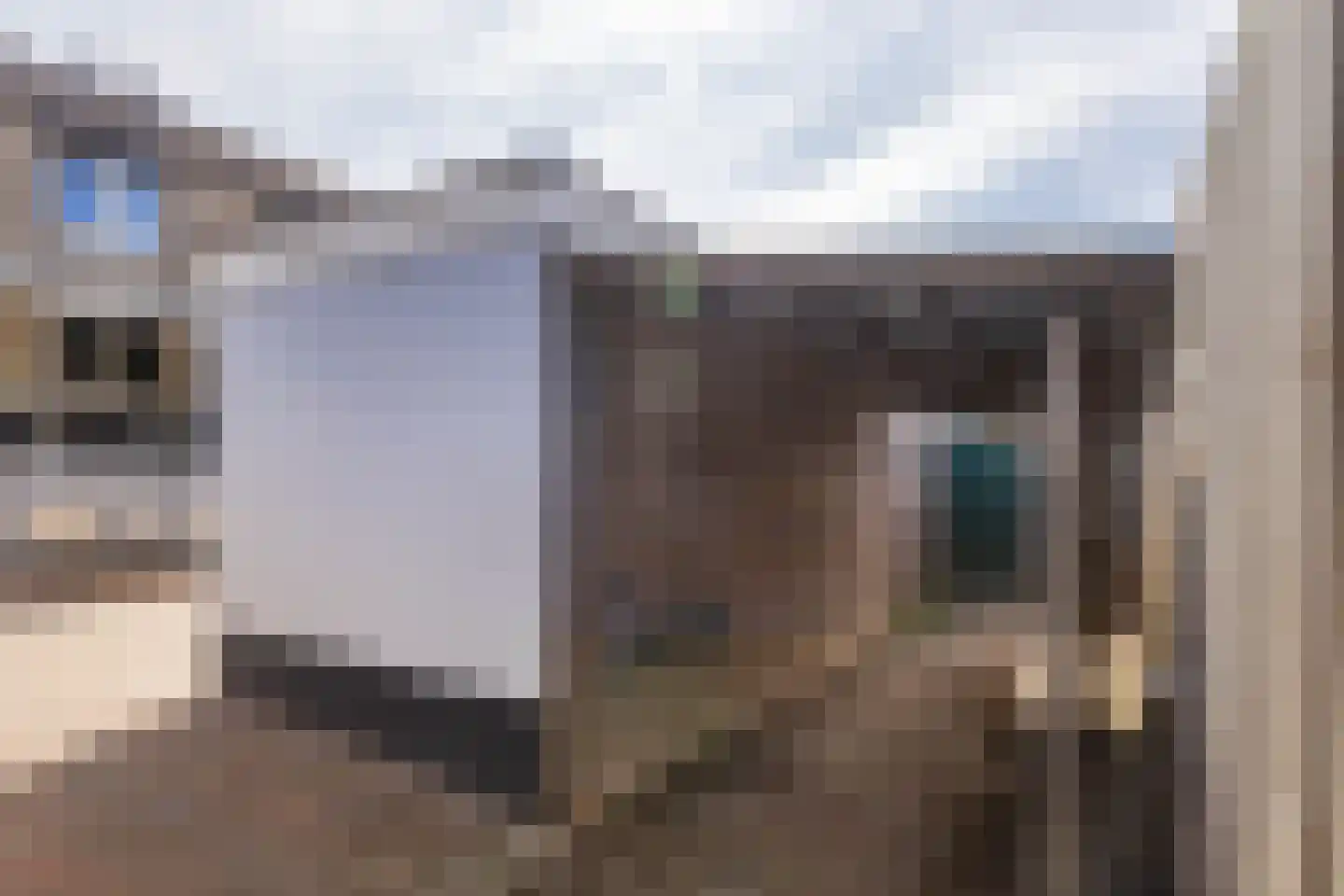 Dross Wilkinstraat 3 Elsloo thumbnail 43