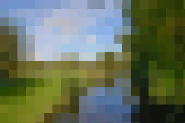 Drossaard 11 Naarden thumbnail 14
