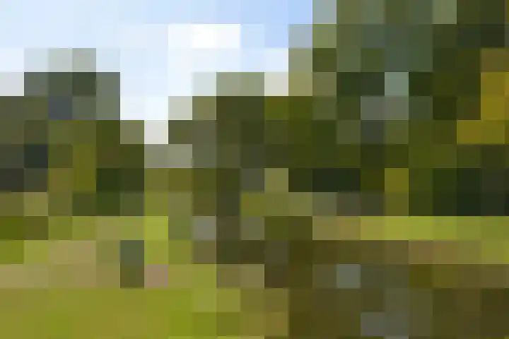 Drossaard 11 Naarden thumbnail 15