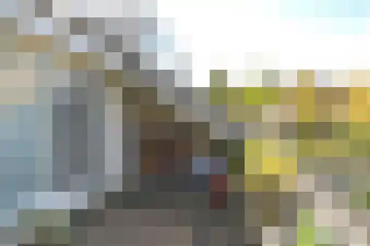 Drossaard 11 Naarden thumbnail 8