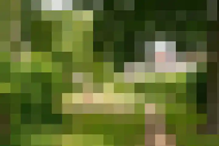 Drossaard 14 Naarden thumbnail 18