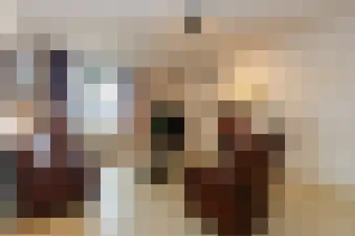 Drossaard 21 Uden thumbnail 10