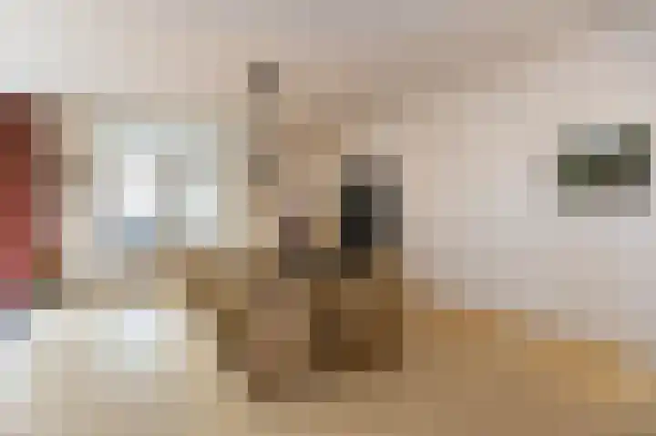 Drossaard 21 Uden thumbnail 11