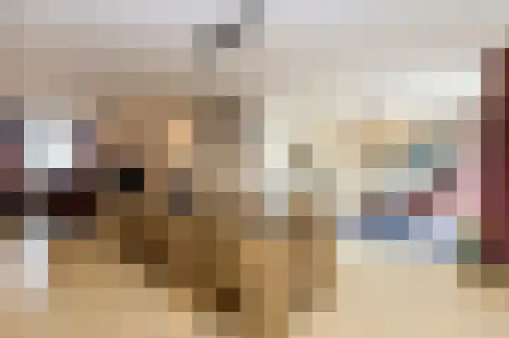Drossaard 21 Uden thumbnail 12