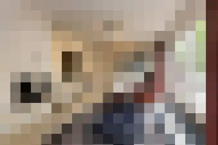 Drossaard 21 Uden thumbnail 14