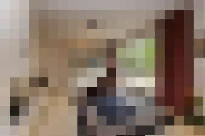 Drossaard 21 Uden thumbnail 15