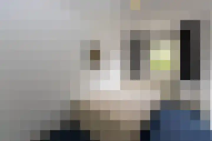 Drossaard 21 Uden thumbnail 23