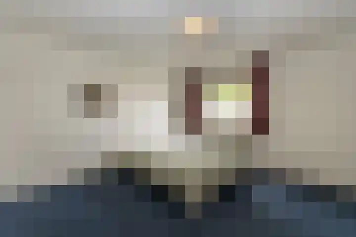 Drossaard 21 Uden thumbnail 24