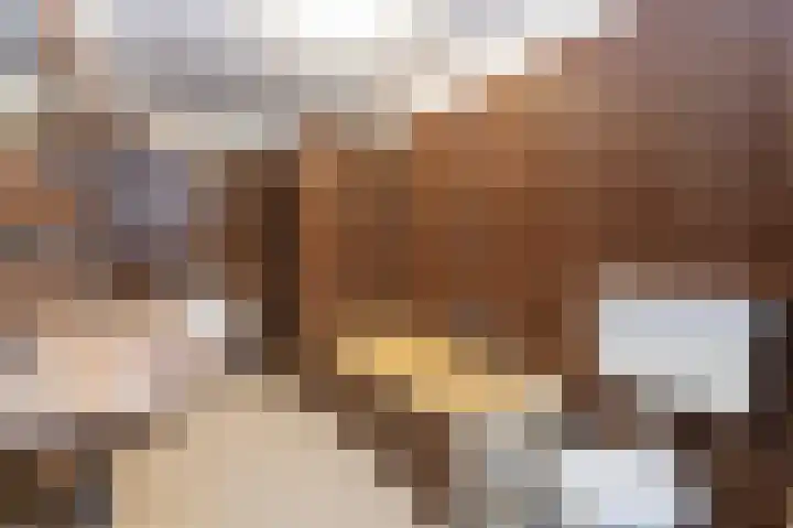 Drossaard 21 Uden thumbnail 26