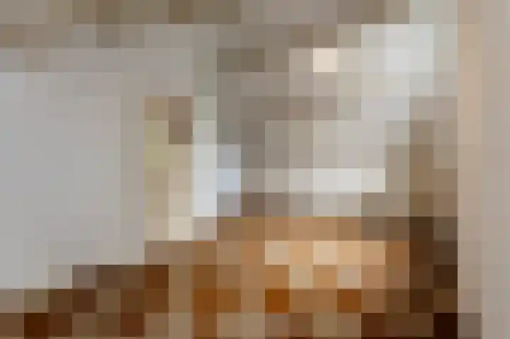 Drossaard 21 Uden thumbnail 29