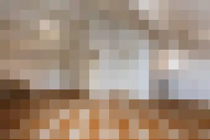 Drossaard 21 Uden thumbnail 30