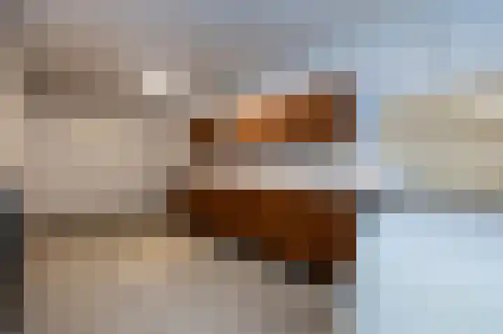 Drossaard 21 Uden thumbnail 32