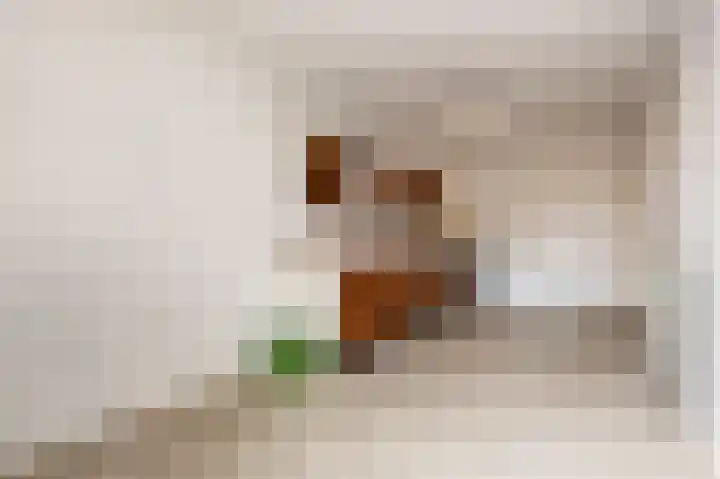 Drossaard 21 Uden thumbnail 33