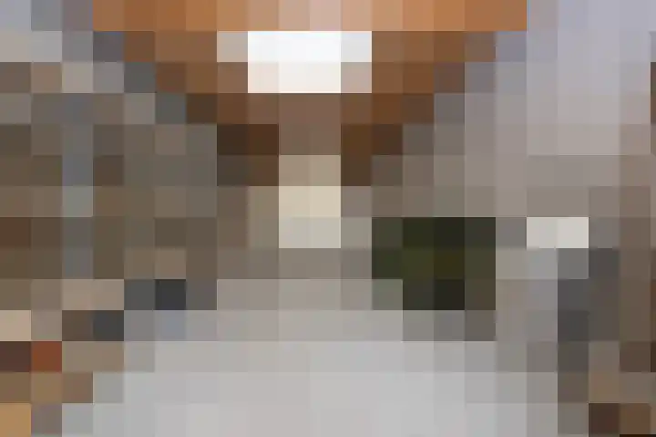 Drossaard 21 Uden thumbnail 34