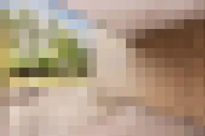 Drossaard 21 Uden thumbnail 36