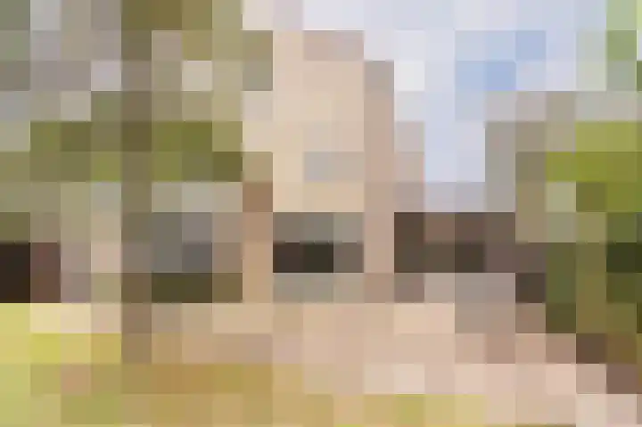 Drossaard 21 Uden thumbnail 37