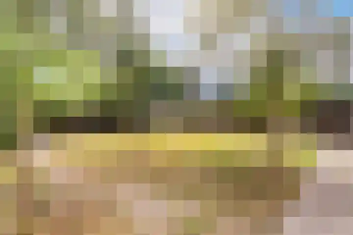 Drossaard 21 Uden thumbnail 39