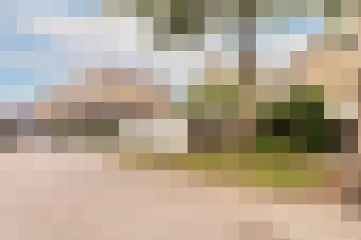 Drossaard 21 Uden thumbnail 4