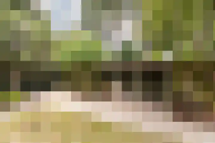 Drossaard 21 Uden thumbnail 40