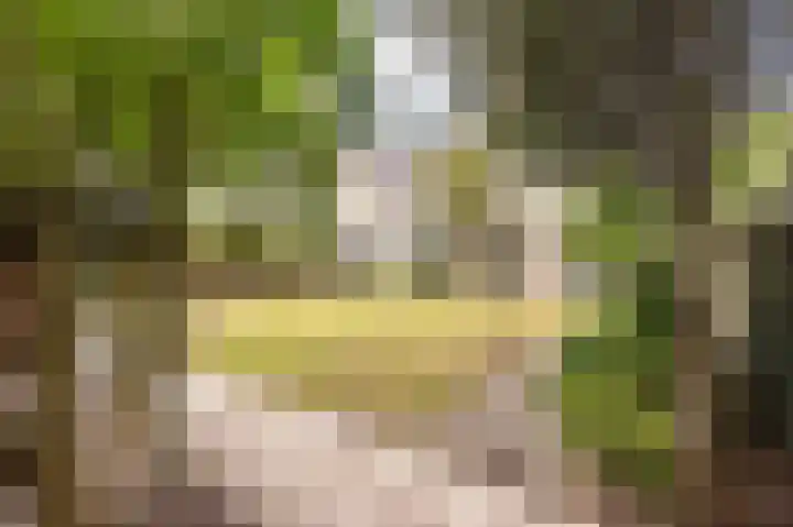 Drossaard 21 Uden thumbnail 41
