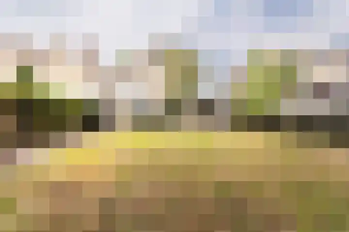 Drossaard 21 Uden thumbnail 42