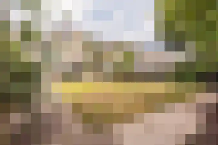 Drossaard 21 Uden thumbnail 43