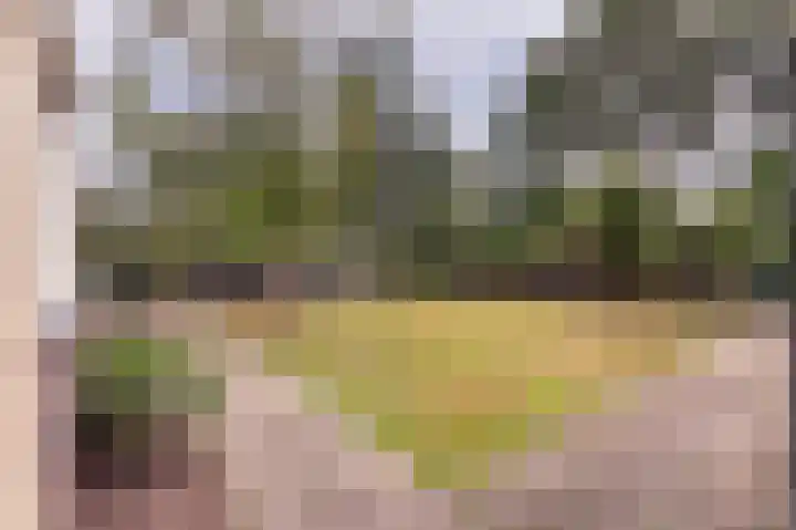 Drossaard 21 Uden thumbnail 44