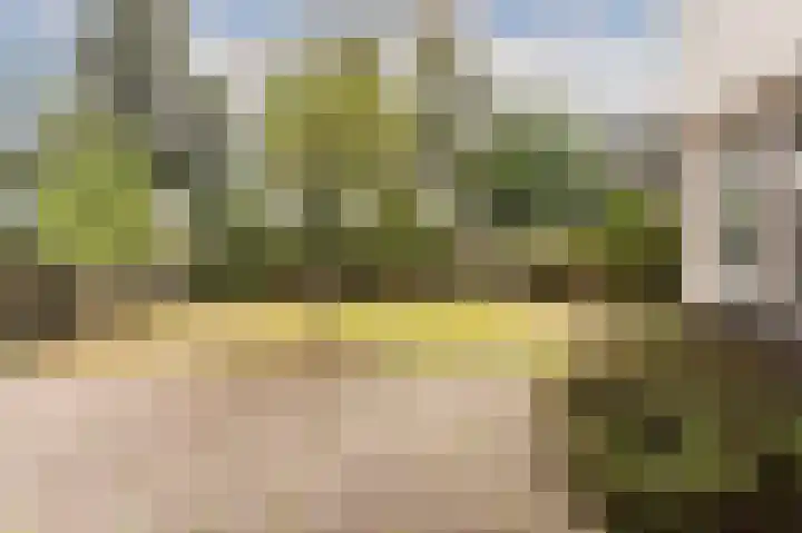 Drossaard 21 Uden thumbnail 45