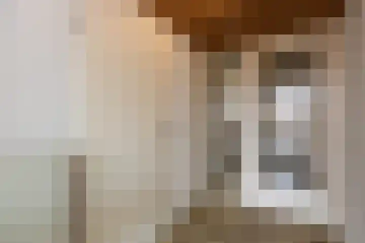 Drossaard 21 Uden thumbnail 5