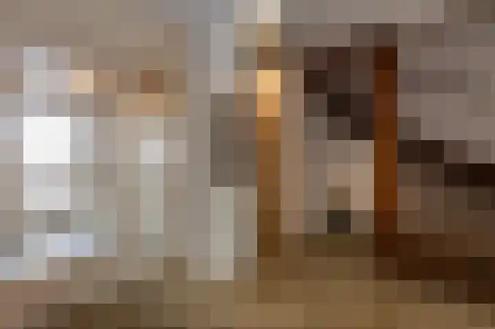 Drossaard 21 Uden thumbnail 6