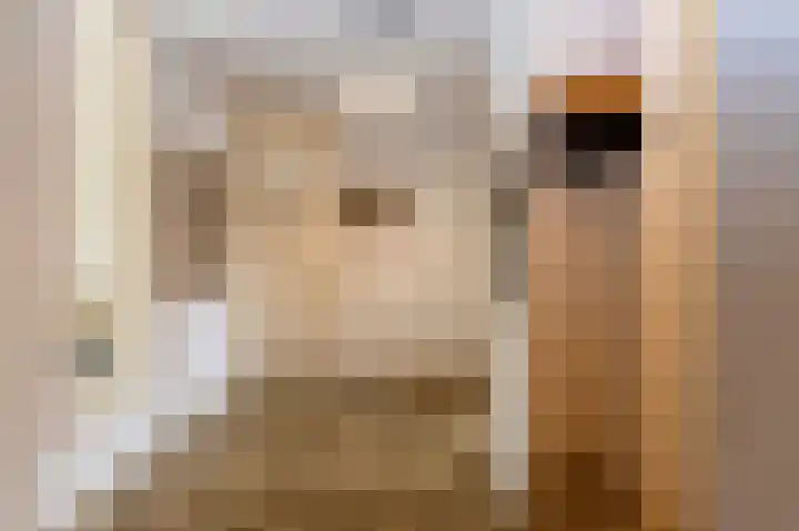 Drossaard 21 Uden thumbnail 7