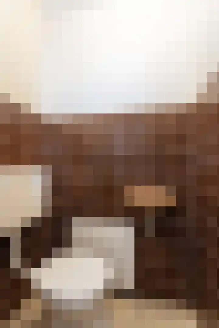 Drossaard 21 Uden thumbnail 8