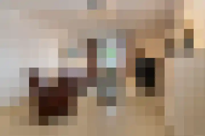 Drossaard 21 Uden thumbnail 9