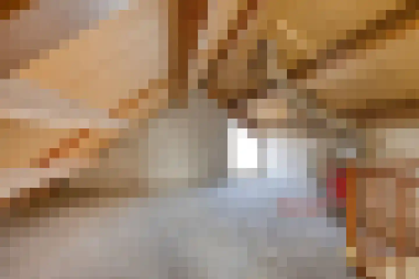Drossaard 23 Uden thumbnail 27