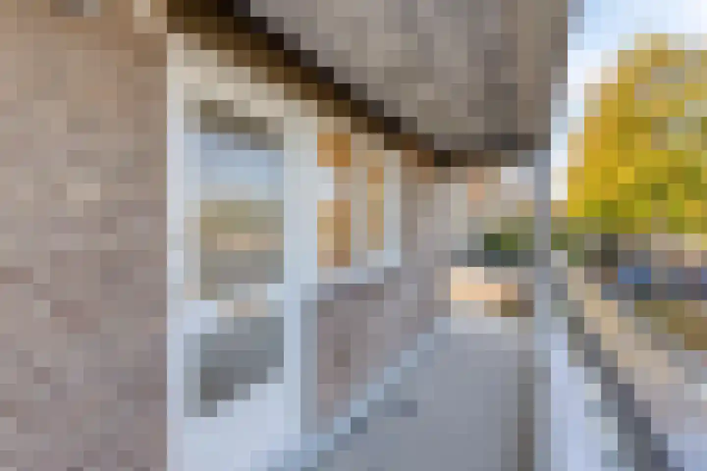 Drossaard 23 Uden thumbnail 6