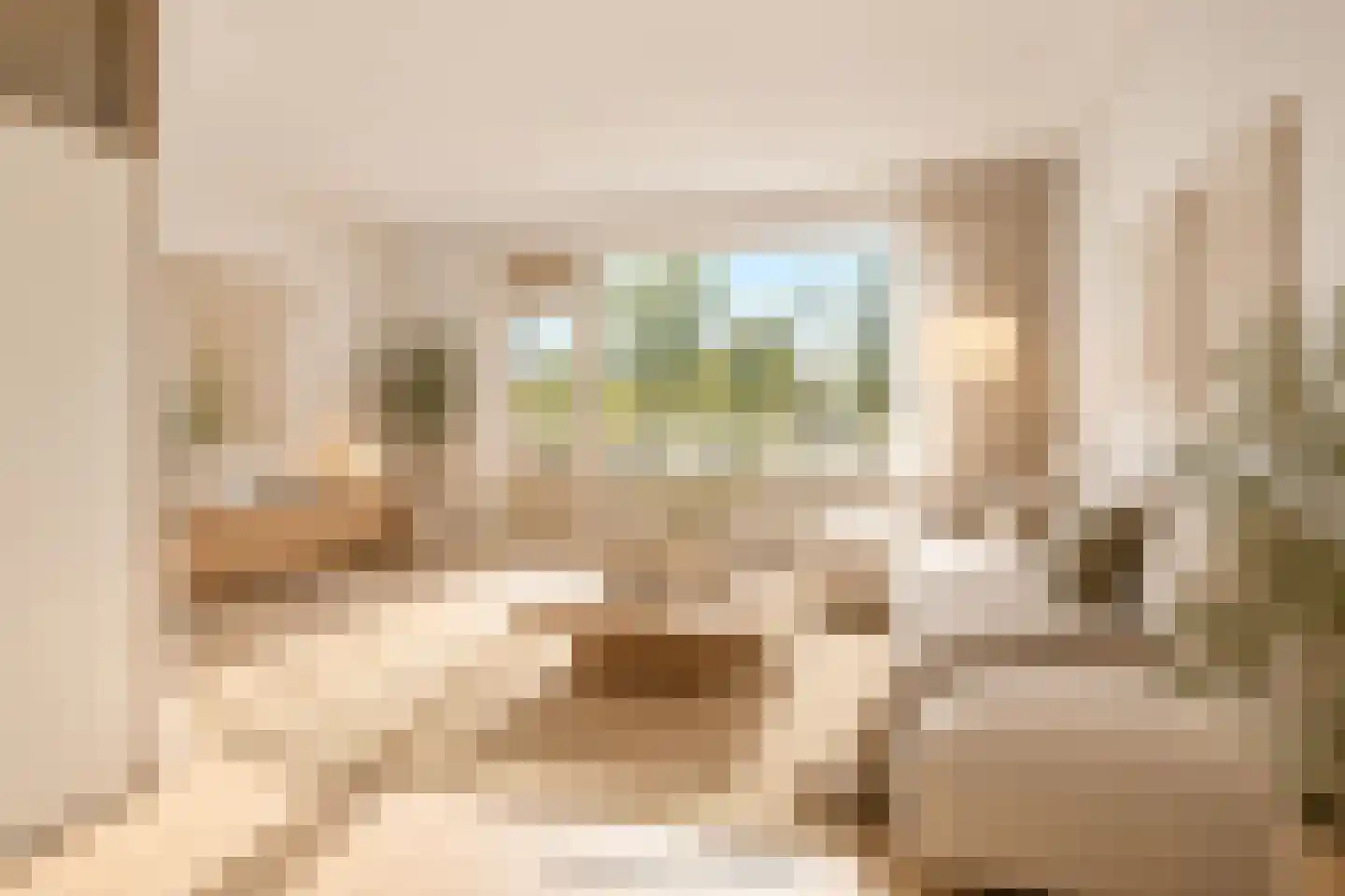Drossaard 23 Uden thumbnail 8
