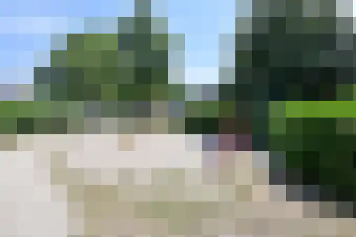 Drossaard 24 Naarden thumbnail 15